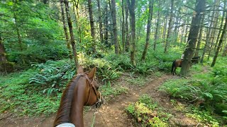 Horse Trail ride on a difficult singletrack trail