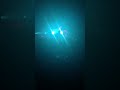 SUNMI La Cigale 2019 SUNMI La Cigale 2019