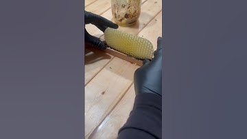 Brood comb superglue. Transplanting comb for foundationless frames #beekeeping 🐝