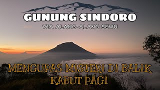 Pendakian Gunung Sindoro Mengupas Misteri Dibalik Kabut Pagi Via Alang Alang Sewu Terbaru 2022