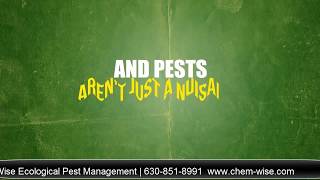 Chem-Wise Ecological Pest Management | 630-851-8991