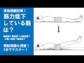 【実地対策その⑨】筋力低下している筋を見極める！｜理学療法士作業療法士国家試験塾 鰐部ゼミナール