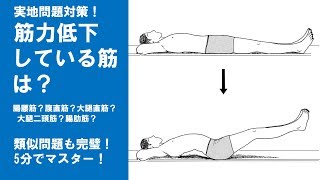 【実地対策その⑨】筋力低下している筋を見極める！｜理学療法士作業療法士国家試験塾 鰐部ゼミナール