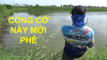 Fishing, Câu cá lóc ở vuông tôm  -  by pou phung