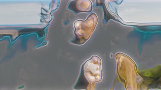 Beak Scenatrio - Mysteriosa