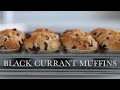 BLACK CURRANT MUFFINS | easy tasty recipe
