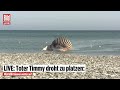 🔴 WAL TIMMY droht zu platzen – er bläht sich immer weiter auf | BILD LIVE