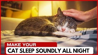 How To Get Your Cat To Sleep At Night?