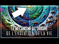 Lhistoire incroyable du mcanisme  lorigine de lvolution de la vie   documentaire 2024