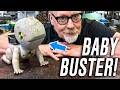 Announcing the FINAL MythBusters Charity Auction!