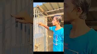 India new funny video￼????shorts viral shortsfeed funny comedy trending surajroxfunnyvibeo