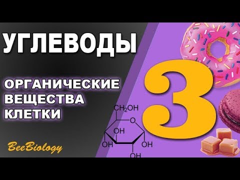 Углеводы • Органические вещества клетки  • Быстрые и медленные углеводы