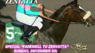 Zenyatta Appreciation Day - Sunday, December 5