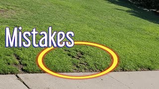 Lawn Care Mistakes That Are TOO EASY To Make