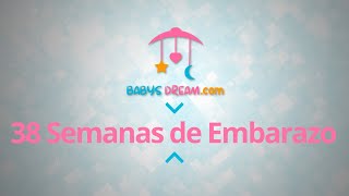 Bebé  38 Semanas de Embarazo | Signos y síntomas del embarazo