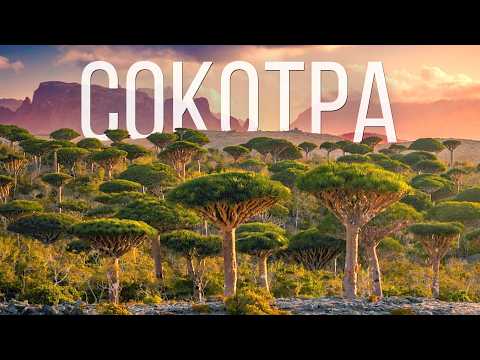Самый ЗАГАДОЧНЫЙ остров в мире. Как выжить на Сокотре? (Парк Юрского периода)