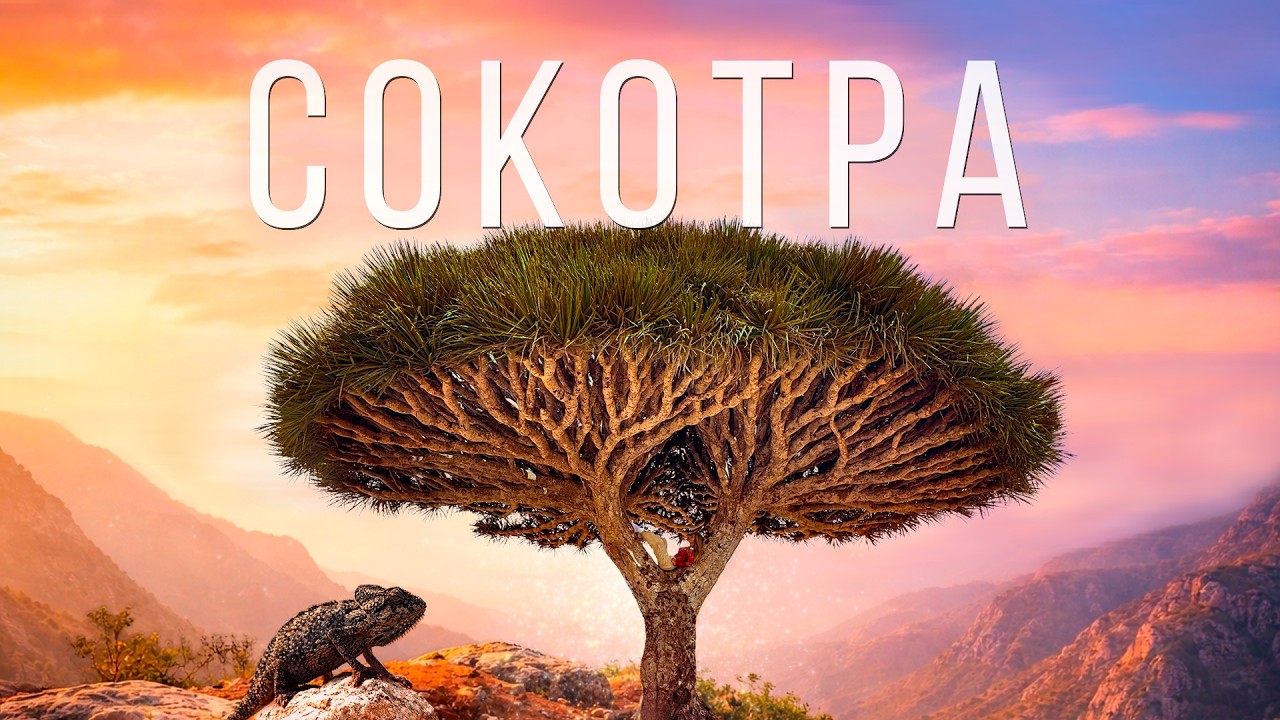 Самый ЗАГАДОЧНЫЙ остров в мире. Как выжить на Сокотре? (Парк Юрского периода)