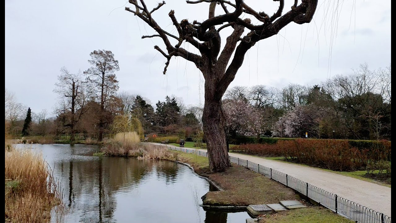 4K - WALKING QUEEN MARY'S ROSE GARDEN IN LONDON'S REGENTS PARK | March 2021