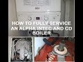 BOILER SERVICE - WHAT'S INVOLVED / HOW TO, STEP BY STEP - Alpha Intec & Alpha CD