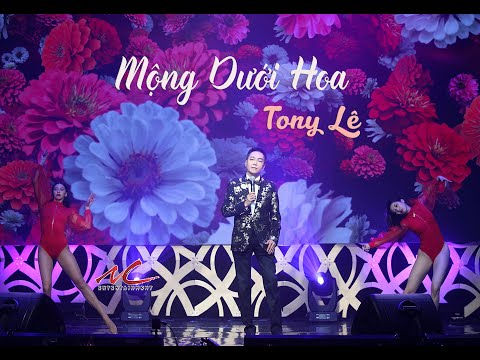 Tony Lê -