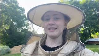 ВЛОГ; питер, татуировки и пчелы