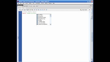 Flash Photo Gallery and XML learn flash, flash tutorials, actionscript, flash training