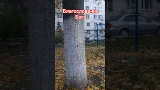 благодать Иисуса Христа