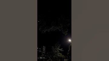  اكتب شئ تؤجر عليه سورة فصلت القارئ