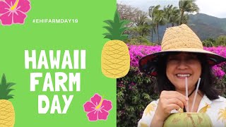 Celebrity Maui Farmers Market and More - Things To Do on Maui Profile