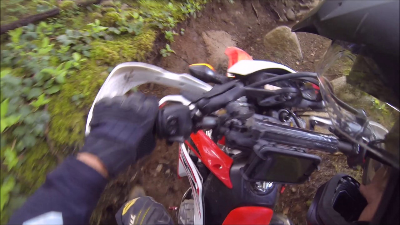 CRF250L single track
