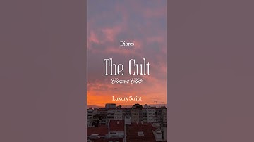 Our favorite font pairings ✨