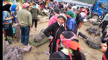 Chợ Phiên Tráng Kìm Hà Giang Mộc Mạc Bán Toàn ĐỒ LẠ | Miền núi tây bắc