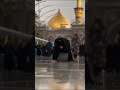 عصيناك