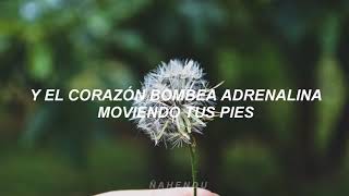 Caos total - Paiko (letra) chords