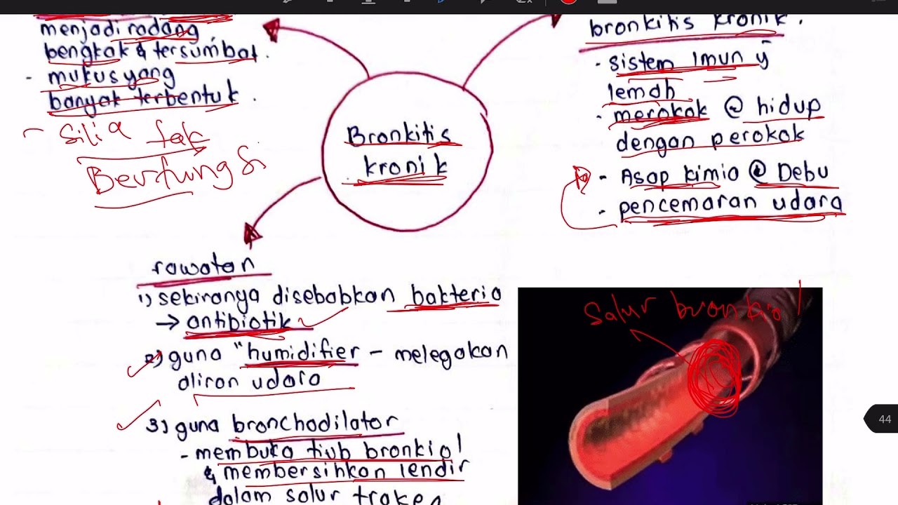 biologi tingkatan 4 bab 8