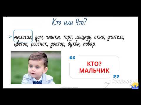 Видео: Сибирьт хэд хэдэн нууцлаг аварга том тогоо олдсон байна