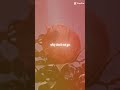 Somewhere only we know-Keane/aesthetic lyrics song/