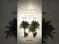 صنوان وغير صنوان يسقى بماء واحد القارئ أحمد صحصاح