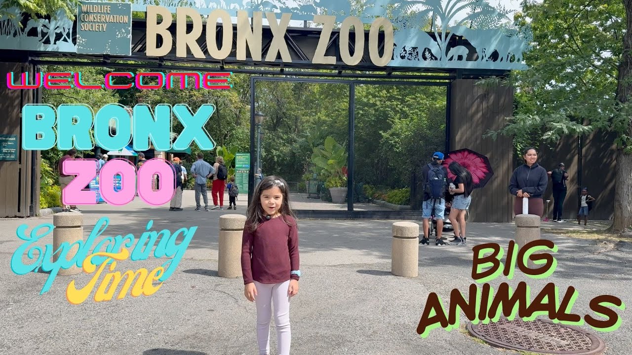 Exploring the Bronx Zoo, New York