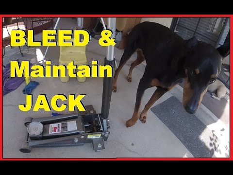 How To Bleed & Maintain Hydraulic Floor Jack -Jonny DIY