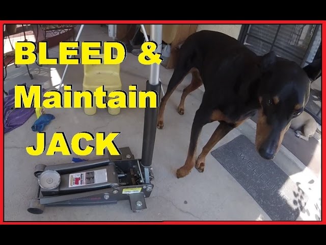How To Bleed & Maintain Hydraulic Floor Jack -Jonny DIY - YouTube