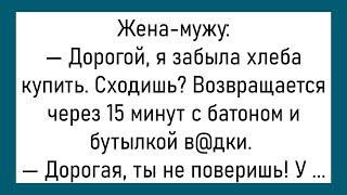 💎Брюнетка Пришла В Гости К Блондинке...Большой Сборник Весёлых Анекдотов,Для Супер Настроения!