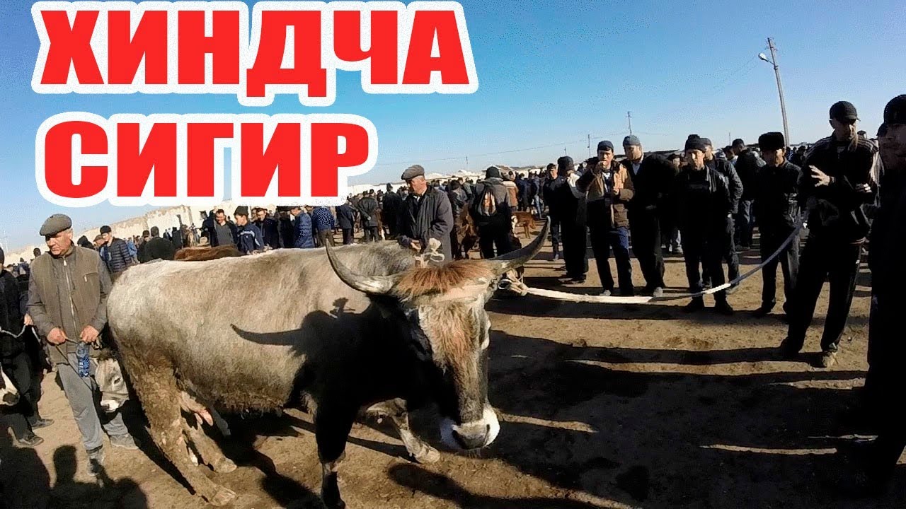 Гемаройга карши маз