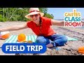 Lets go to the beach  caities classroom field trip  outdoor funs for kids