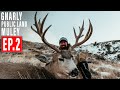 GNARLY PUBLIC LAND MULEY | BACKPACK HUNT | 4K VIDEO | EP 2
