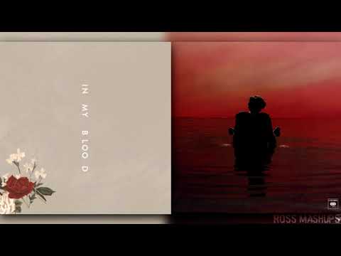 ''Sign In My Blood'' | Shawn Mendes feat. Harry Styles (MASHUP CONCEPT)