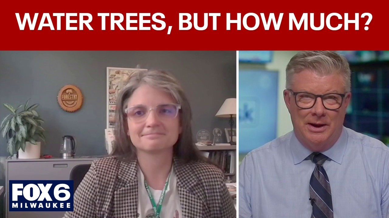 Urban Tree Care During Drought Conditions