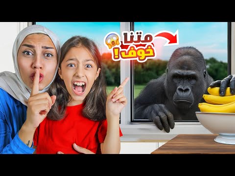 هجم غوريلا على حديقة بيتنا خو فنا كتير