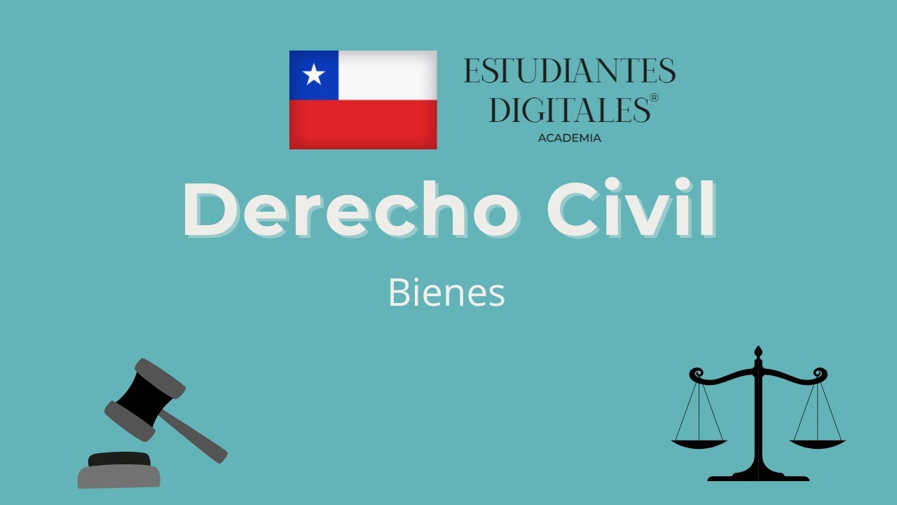 Clase de BIENES para preparar el examen de grado (CHILE) por Estudiantes Digitales