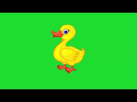 Animals And Young Ones